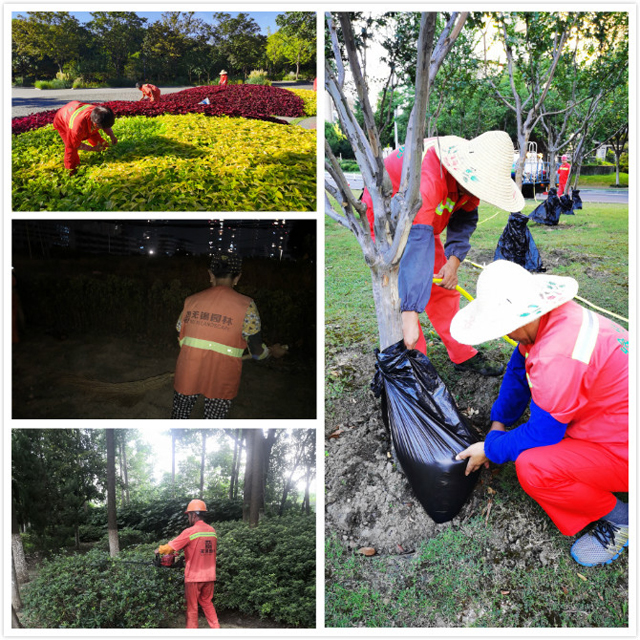 F:\2圖片\宣傳\2020高溫慰問(wèn)\養(yǎng)護(hù)拼圖.jpg F:\2圖片\宣傳\2020高溫慰問(wèn)\養(yǎng)護(hù)拼圖.jpg